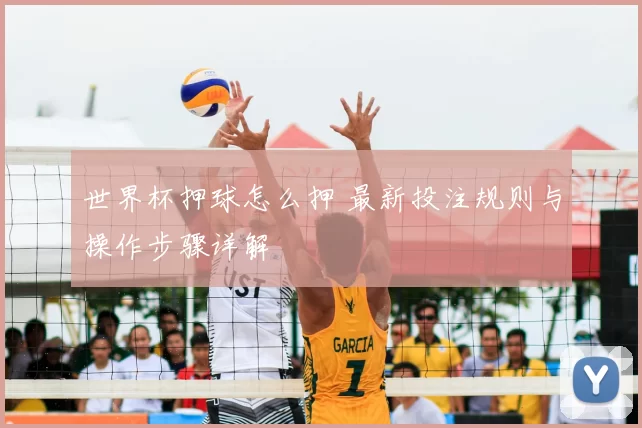世界杯押球怎么押 最新投注规则与操作步骤详解