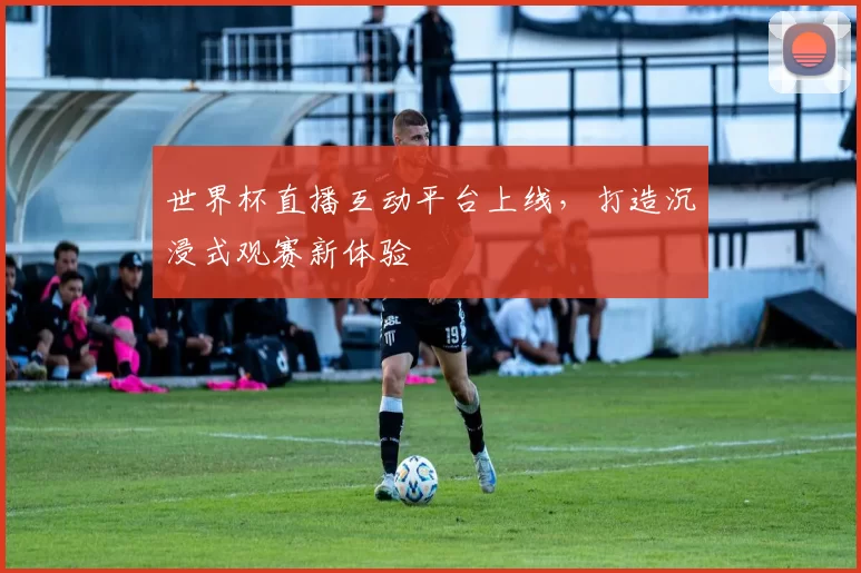 世界杯直播互动平台上线,打造沉浸式观赛新体验