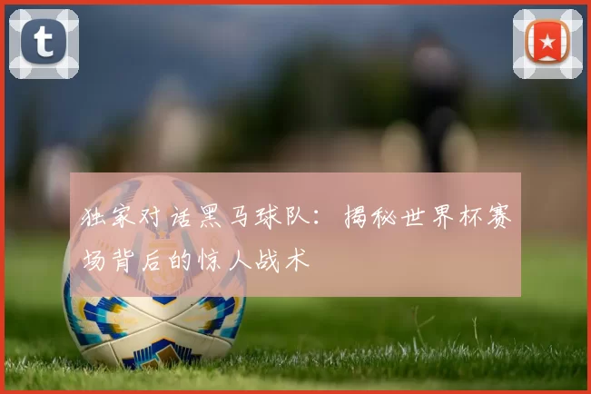 独家对话黑马球队:揭秘世界杯赛场背后的惊人战术