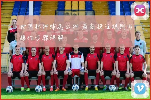 世界杯押球怎么押 最新投注规则与操作步骤详解