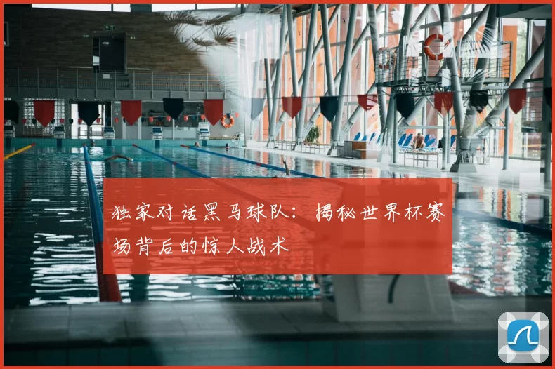 独家对话黑马球队：揭秘世界杯赛场背后的惊人战术