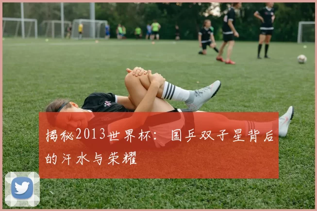 揭秘2013世界杯：国乒双子星背后的汗水与荣耀
