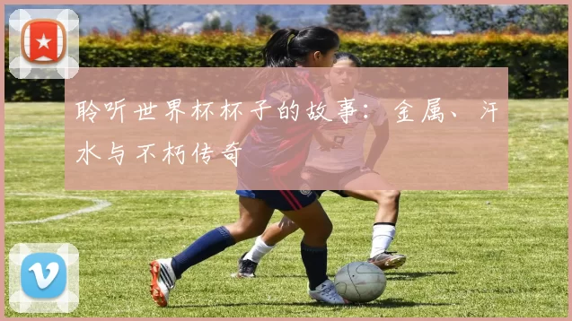 聆听世界杯杯子的故事：金属、汗水与不朽传奇
